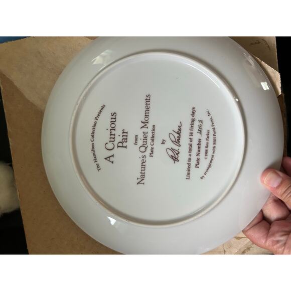 VGUC Vintage 20 Piece Raccoon Collection Pictures Bags Stuffies Plate Wood Box - Picture 9 of 10